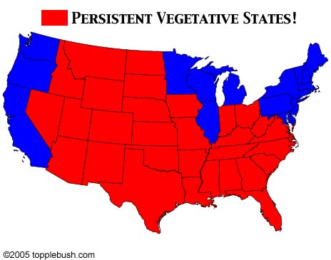 Persistent Vegetative States