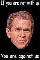 Bush/bin Laden