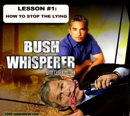 Bush Whisperer