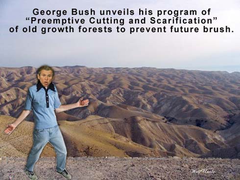 Bush kills forests