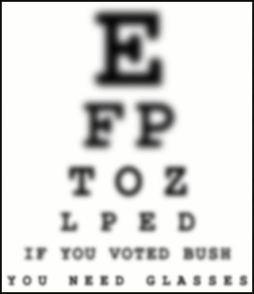 eye test for Bush voters