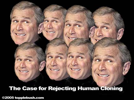 Bush Clones