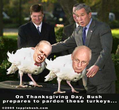 Bush pardons Turkeys